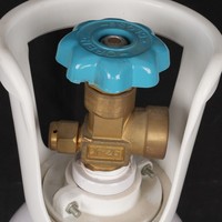 Bouteille d'oxygène médicale en acier de 2L, 40L, 10 litres, portable, avec valve et poignée en plastique, pression de 150 bars