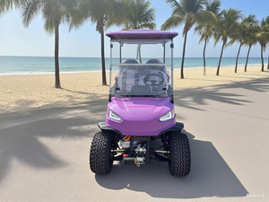 Côte à côte voiture <span class=keywords><strong>électrique</strong></span> 4x4 hors route <span class=keywords><strong>Buggy</strong></span> Mini Jeep voiturette de golf avec CE - Product Image 6