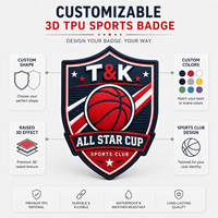 Écusson de basket-ball personnalisé All Star, badge de coupe en TPU 3D gaufré pour maillot d'équipe, uniforme, vêtements de sport, veste, tenue