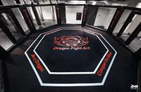 Coussin de cage, coussin MMA, coussin d'angle, panneau mural de cage, panneau de poteau de cage