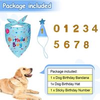 Ensemble d'accessoires d'anniversaire réglables pour animaux de compagnie : chapeau, bandana triangulaire et foulard pour fête d'anniversaire de chien