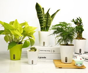 Vente en gros de jardinière hydroponique ronde de bureau d'intérieur durable Pots de fleurs en plastique à arrosage automatique avec pots intérieurs transparents - Product Image 3