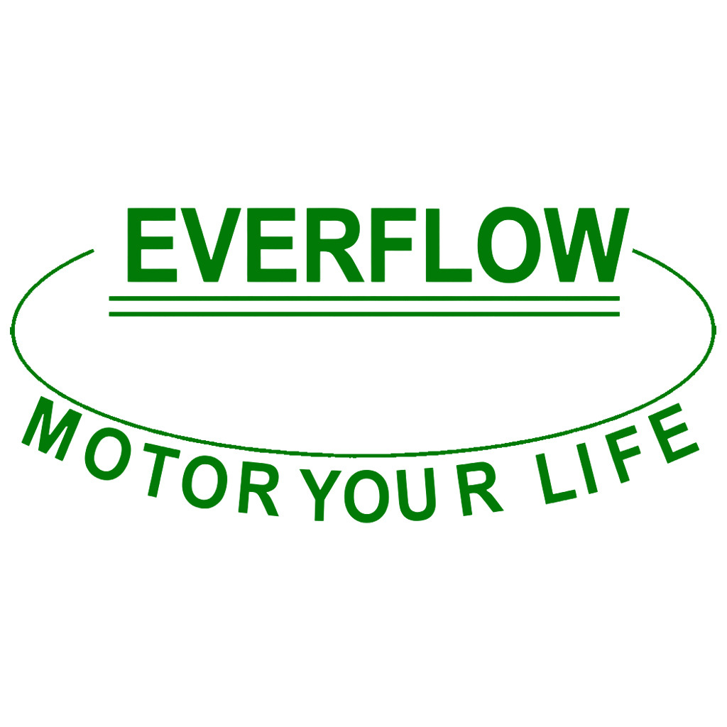 Everflow Precision Electronic (DongGuan) Co., Ltd. logo