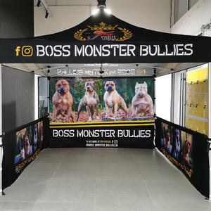 Entrega rápida de calidad superior 10x10FT Publicidad Pop up Carpa <span class=keywords><strong>Campaña</strong></span> Aluminio Exhibición plegable al aire libre Logotipo personalizado Carpa con dosel - Product Image 3