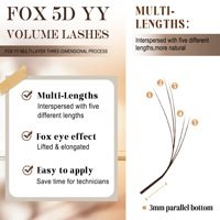 Extensions de cils Fox 5D YY en forme de C/D, effet œil de renard spectaculaire, naturelles, moelleuses et douces, plateau de cils, vente en gros, fournisseur de cils