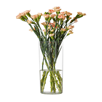 Vase à fleurs cylindrique en acrylique RosPynn, 7,86 pouces de haut, transparent, pour table, mariage, décoration de la maison, incassable, 3,94 x 7,86 pouces