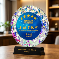 Trophée rond en cristal arc-en-ciel personnalisé WDY Small Bridge, impression UV couleur, gravure laser, plaque de récompense en verre rond