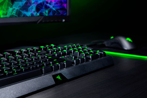 BlackWidow Essential Green avec rétroéclairage LED, clavier standard 104 touches pleine taille - Product Image 4