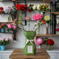 Vente en gros de boîtes personnalisables ondulées pliables auto-dressantes biodégradables pour bouquet de fleurs pour cupcakes plantes vertes logo personnalisé