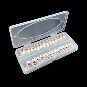 Modelo do canal radicular Endodontia Modelo dental dentes Endo dentais curvados para a prática - Product Image 1