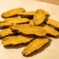 Extrait de racine de Coptis en poudre OEM personnalisé, berbérine 97%, complément alimentaire naturel à base de plantes