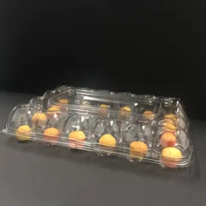 Mini contenitore per Cupcake in plastica porta Cupcake vassoio per animali domestici con sigillo usa e getta trasparente all'ingrosso 24 scomparti cibo accetta