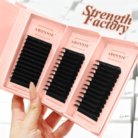 Extensions de cils individuelles Abonnie, plateaux d'extensions de cils classiques mats