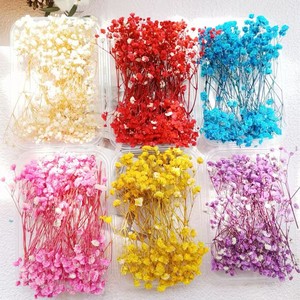 Boîte cadeau de carte de vœux avec fleurs de gypsophile éternelles, boîte d'emballage, fleurs décoratives, fleurs séchées, matériel de bricolage pour gypsophile - Product Image 6