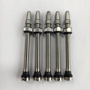 <span class=keywords><strong>Valve</strong></span> Presta <span class=keywords><strong>Tubeless</strong></span> en Alliage de Titane Légère Haute Résistance Anti-Corrosion <span class=keywords><strong>pour</strong></span> Jantes Carbone Vélo de Route <span class=keywords><strong>VTT</strong></span> Gravel - Product Image 6