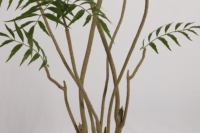 Salon bureau bonsaï mariage simulation arbre plantes lumière luxe jour lys simulation plantes vertes
