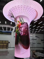 Panel LED Flexible de Color Completo P2.5, Módulo Suave para Publicidad, Pantallas de Marketing para Interiores OEM, Función SDK, Pantalla de Visualización