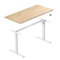 Bureau debout réglable en hauteur à moteur unique Richmat Electrical