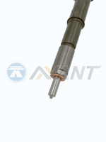 Inyector Diesel NANT 0445110321 para Válvulas de Inyección del Conjunto del Motor