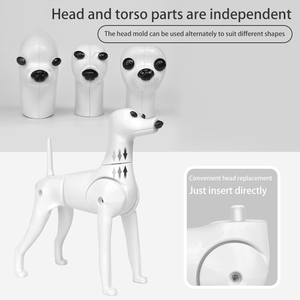 Modelo de Esqueleto Multifuncional para Tosa de Cães Teddy Poodle - Fácil de Usar, Ferramenta de Ensino Segura para Competições de Beleza Animal - Product Image 4