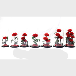Cadeau haut de gamme tendance : Roses éternelles sous cloche en verre, <span class=keywords><strong>La</strong></span> <span class=keywords><strong>Belle</strong></span> <span class=keywords><strong>et</strong></span> <span class=keywords><strong>la</strong></span> Bête, fleur qui ne se décolore jamais. Parfait pour <span class=keywords><strong>la</strong></span> Saint-Valentin, <span class=keywords><strong>la</strong></span> fête des mères - Product Image 6