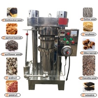 Hoge Kwaliteit Nieuwe Industriële Palmfruitolie Persmachine Semi-Automatische Arachine Sesam Hydraulische Koude Pers Olie-Extractor