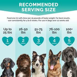 Friandises apaisantes pour chiens, marque privée OEM/ODM, favorisant la relaxation et le soulagement de l'anxiété, compléments alimentaires pour animaux de compagnie - Product Image 5