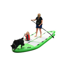 Big Paddle Boards SUP-12 '6'' Surfboard avec Soft Top Matériel et Beau Style pour Offre Spéciale
