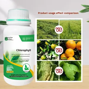 농작물 광합성을 향상시켜 수확량을 증가시키는 농업특화 엽록소 분말 유기영양제 비료 - Product Image 3