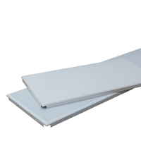 Plaque de plafond suspendu rectangulaire en alliage d'aluminium 300x1200mm au design moderne pour la décoration des aéroports, villas et appartements