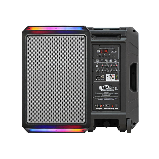 300W 15 Inch Portable Battery Party PA Speaker Sound System with Trolley and Wheel LED Light and Wired Microphone Bosina Palrant