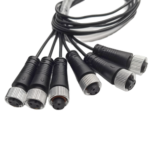 Conector de sensor M12 personalizado OEM ODM 2 pines un código hembra recto montaje de cable de aviación extensión arnés de cables para automatización - Product Image 1