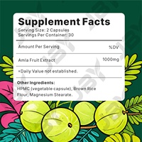 Amla Fruit Extract Capsules 1000mg Dagelijkse Wellness Kruidensupplement Aangepaste Label OEM ODM Groothandel Fabrieksdienst