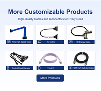 Produsen Kabel Khusus Profesional, Konektor PVC Elektrik Kecepatan Tinggi FFC FPC, Perakitan Kabel Koaksial Micro LVDs eDP