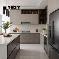 Cuisine moderne modulaire en contreplaqué avec placage PVC, armoire avec robinet, couleur personnalisable, design noir