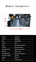 Module amplificateur dsp numérique de classe D, pour haut-parleur de subwoofer