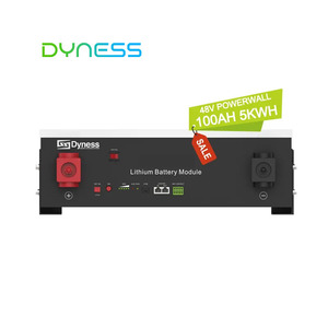 Paquete de Baterías de Litio-Ion Dynes 6000 Cycle para Almacenamiento de Energía en el Hogar, Lifepo4, <span class=keywords><strong>Dyness</strong></span> A48100 48V 100ah con <span class=keywords><strong>BMS</strong></span> Inteligente - Product Image 1