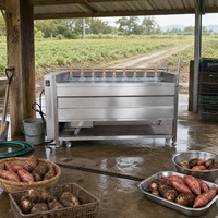 Laveuse-éplucheuse automatique à rouleaux en acier inoxydable SUS304 pour légumes racines : pommes de terre, gingembre, carottes, patates douces