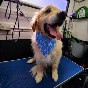 Dog Grooming Trailer Mobile Pet Salon With Non Slip Floor dog-grooming-trailer-mobile-pet-salon-with-non-slip-floor
