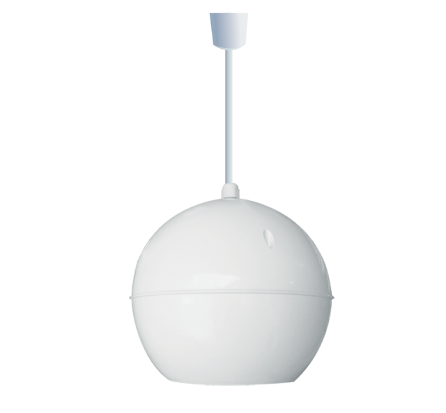 Hot Sale All-Weather Pendant Speaker IP55 Wall Mount Landscape Indoor Commercial Speaker Pendant Speaker System for Home Garden