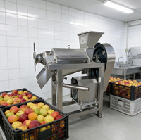 Hoge Efficiëntie Commerciële Gember Spiralenpers Professionele Appelsapmachine 500kg/u Sinaasappel Citroen Motor 220V