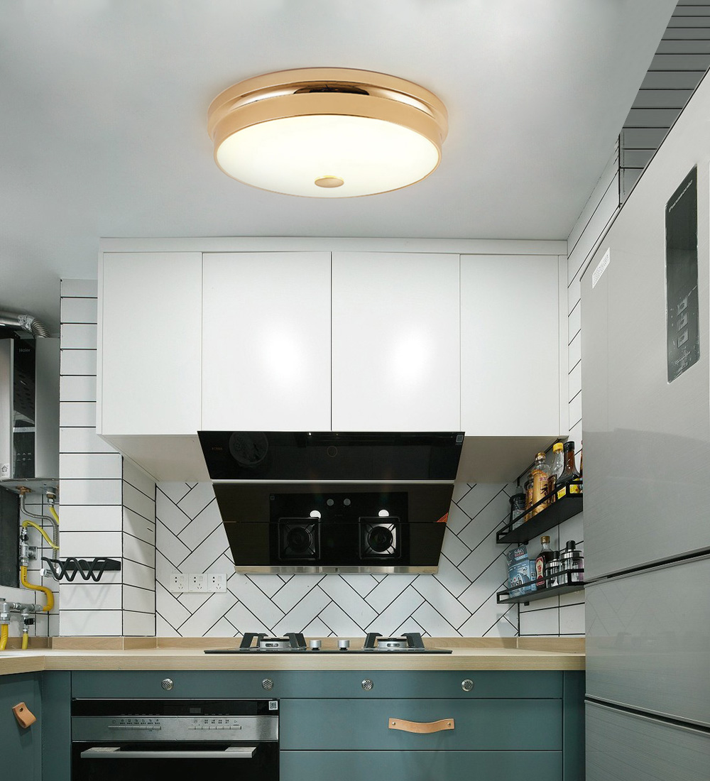 Contemporary Nordic Ceiling Light Iron Round Flush Mount Ceiling Lighting Elegant Modern Led Ceiling Lamp For Living Room