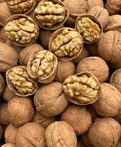 Dried Shelled Thin Skin Paper Shell Bulk 185 Wholesale Walnut Price China Walnut in Shell Wallnut Organic Walnut Nuts