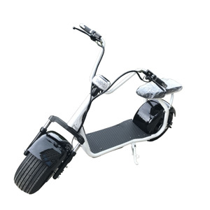 Nuevo Modelo 2026, Scooter Eléctrico Citycoco de 2 Ruedas con Canasta Trasera de Hierro y Caja de Almacenamiento Opcional - Product Image 2
