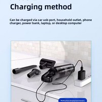 Aspirateur de voiture - Puissance d'aspiration ultra-forte, portable, double usage, pour la maison et la voiture, aspiration d'eau, rechargeable, autonomie de 20 minutes, pratique
