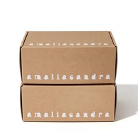 Boîtes rigides en carton ondulé personnalisées en forme d'avion, écologiques, biodégradables, pour l'emballage d'expédition de vêtements