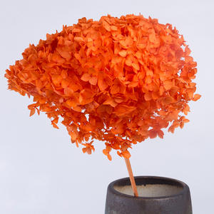 Fleurs d'hortensia Anna blanches pures faites à la main réalistes séchées et conservées fleurs de mariage grand bouquet pour la décoration d'événements en gros - Product Image 6