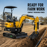 Nouvelles mini-excavatrices 2026 de 1 tonne, 10 tonnes, 3,5 tonnes, en stock UE, avec moteur Briggs & Stratton, excavatrice sur chenilles pour l'agriculture