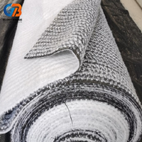 Manta Impermeable de Arcilla Geosintética (GCL) Bentonita de 4000g, 4500g, 4800g para Vertederos