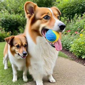 Ballon à mâcher pour chien en vente flash, vente en gros, 6,5 cm, ballon de tennis couineur pour chien, durable, coloré, en caoutchouc TPR et silicone, jouet pour animaux de compagnie - Product Image 6